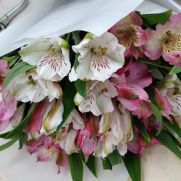 Букет из 15 Альстромерий микс