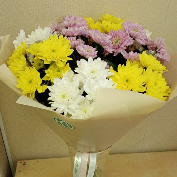 Букет из 9 кустовых хризантем микс