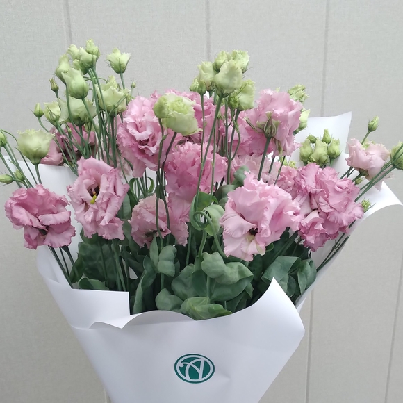 Букет из 9 лизиантусов микс