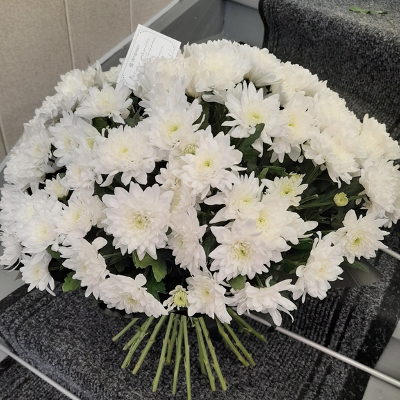 Букет из 15 белых кустовых хризантем