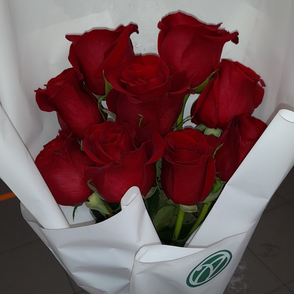 Букет из 11 красных роз 50 см (Эквадор)