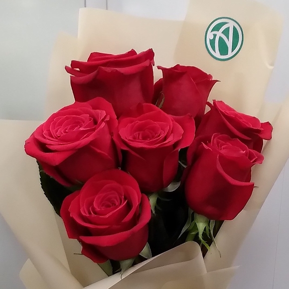 Букет из 7 красных роз 50 см (Эквадор)