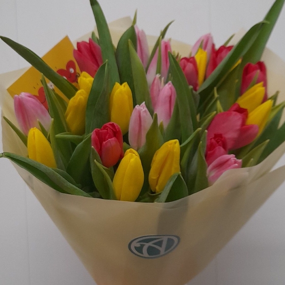 35 тюльпанов микс
