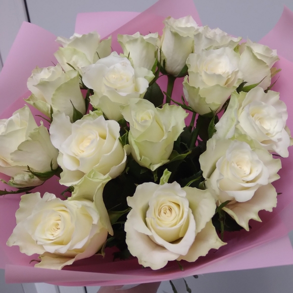 Букет из 15 белых роз 50 см (Кения) в розовой упаковке