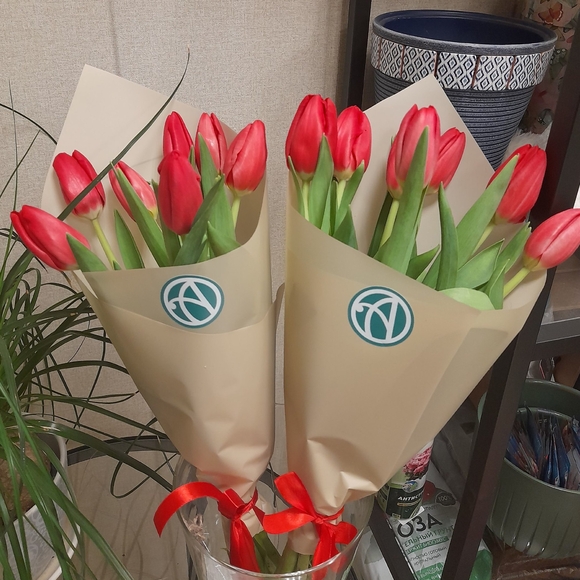 7 красных тюльпанов в упаковке