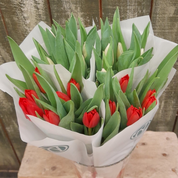 7 красных тюльпанов в упаковке