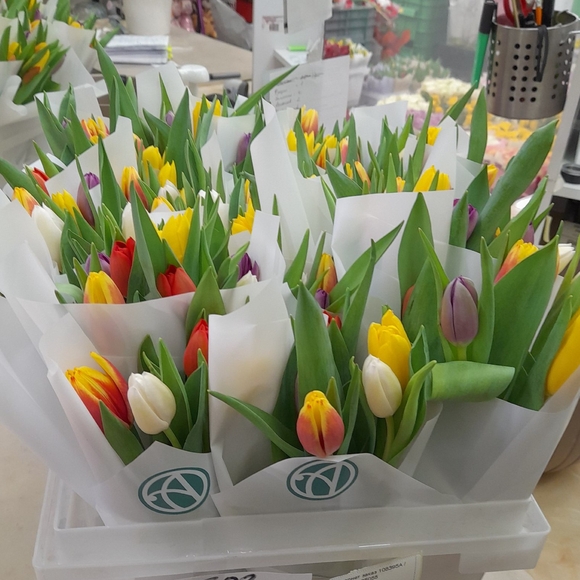 5 тюльпанов микс в белой упаковке