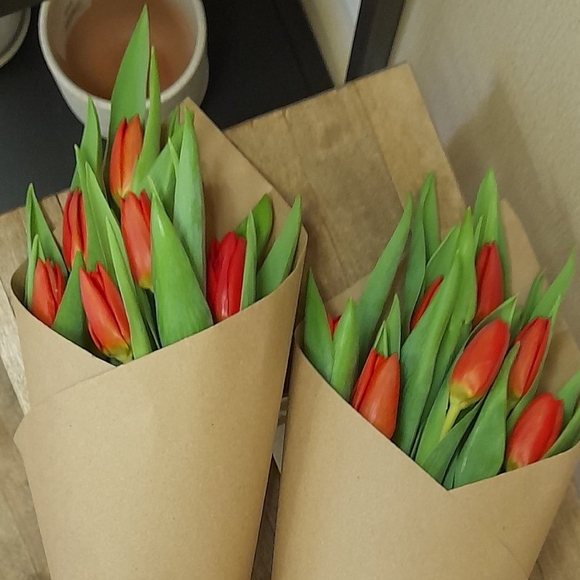 7 красных тюльпанов в упаковке
