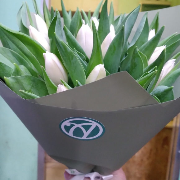 Букет из 25 белых тюльпанов