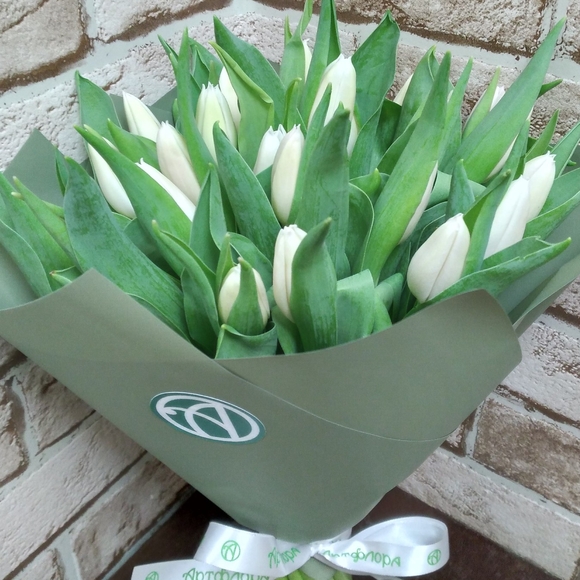 Букет из 25 белых тюльпанов
