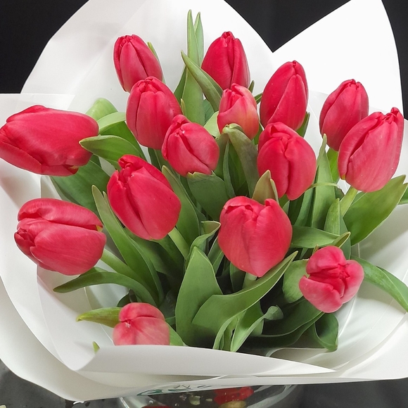 Букет из 15 красных тюльпанов