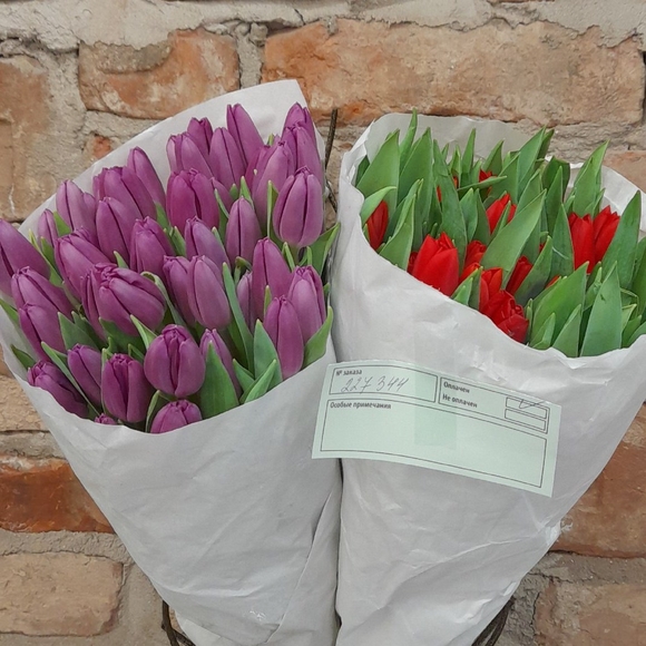 Тюльпаны оптом от 50 шт красные (Голландия) 