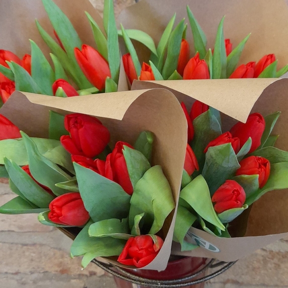 7 красных тюльпанов в упаковке