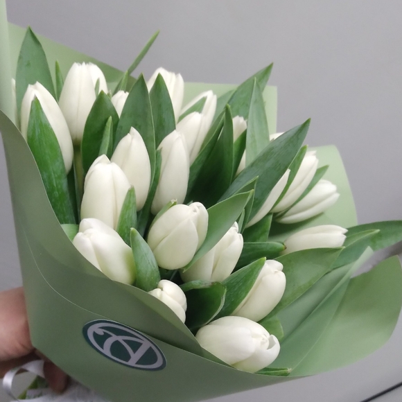 Букет из 25 белых тюльпанов