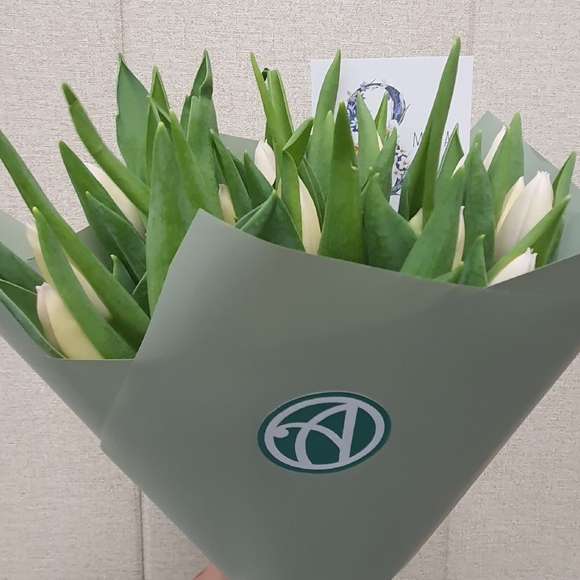 Букет из 25 белых тюльпанов