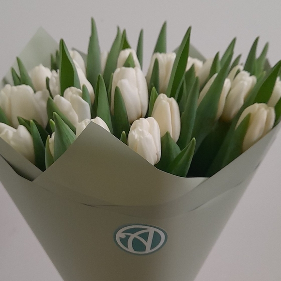 Букет из 25 белых тюльпанов