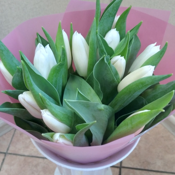 Букет из 15 белых тюльпанов