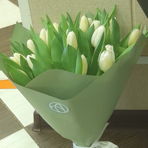Букет из 25 белых тюльпанов