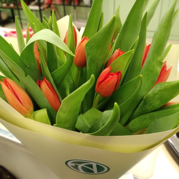 Букет из 15 красных тюльпанов