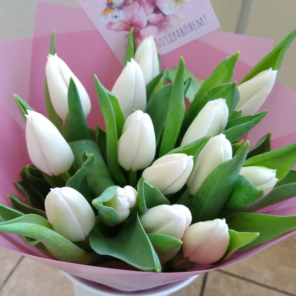 Букет из 15 белых тюльпанов