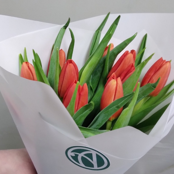 Букет из 15 красных тюльпанов