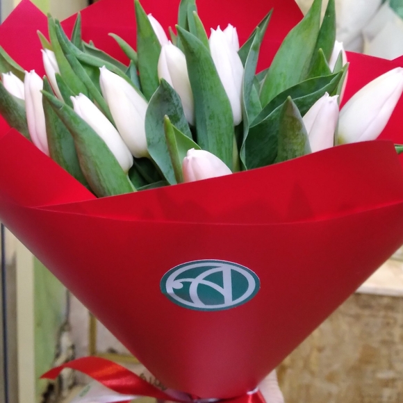 Букет из 25 белых тюльпанов