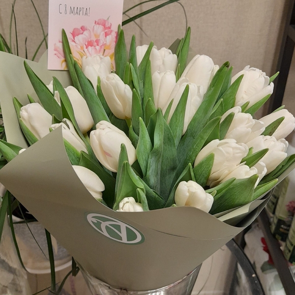 Букет из 25 белых тюльпанов
