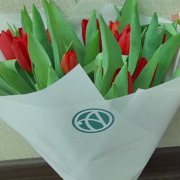 Букет из 15 красных тюльпанов