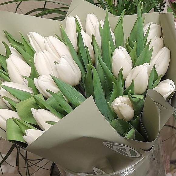 Букет из 25 белых тюльпанов