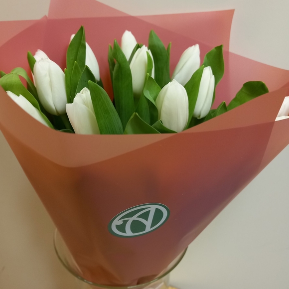Букет из 15 белых тюльпанов