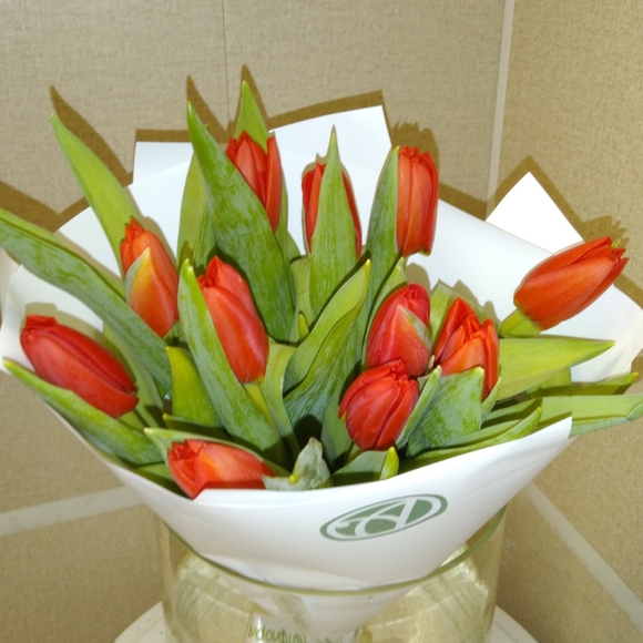 Букет из 15 красных тюльпанов