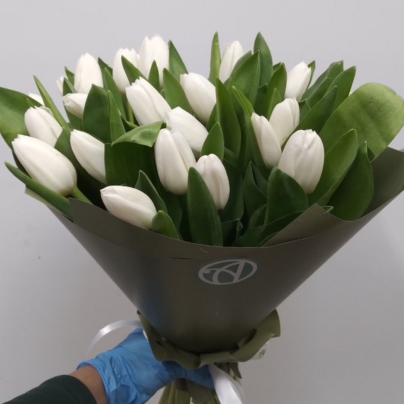 Букет из 25 белых тюльпанов