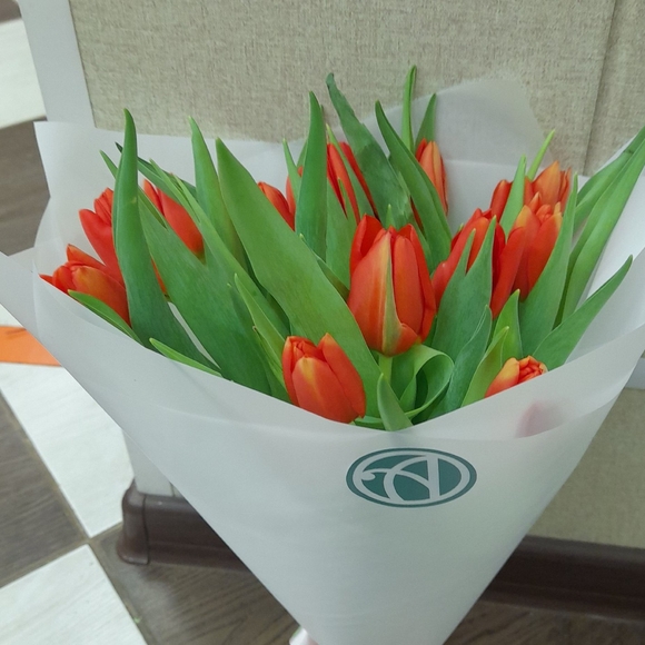Букет из 15 красных тюльпанов
