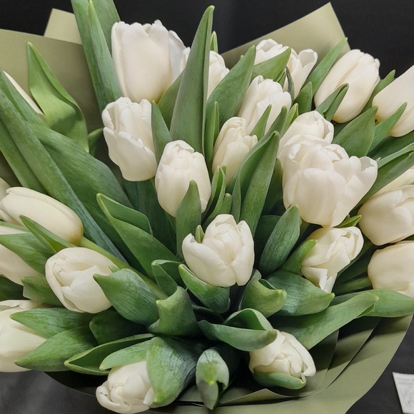 Букет из 25 белых тюльпанов
