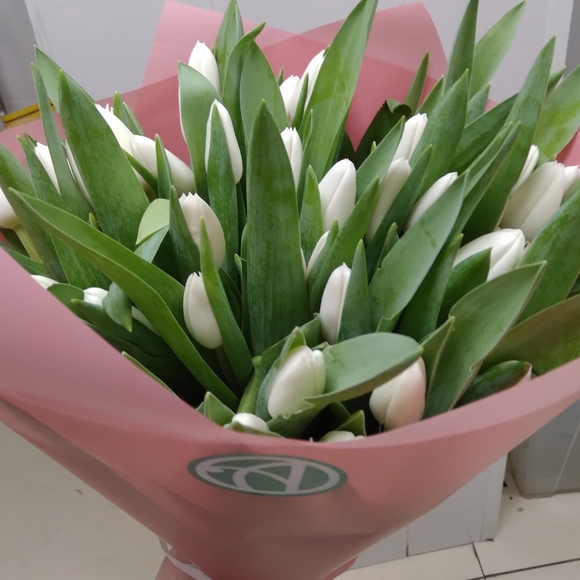 Букет из 51 белого тюльпана