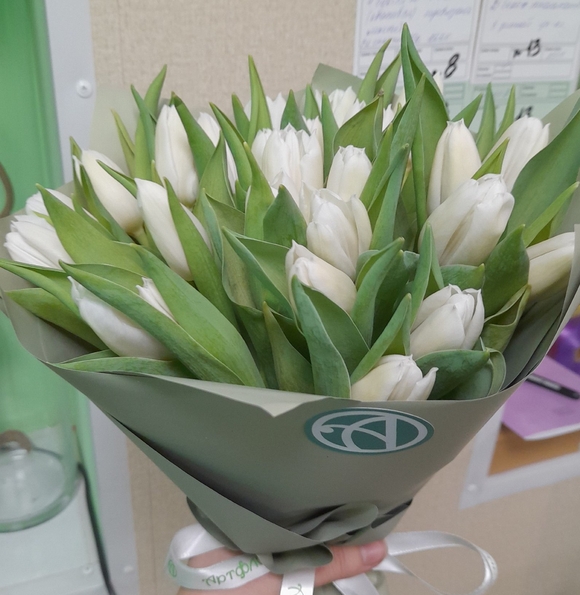 Букет из 25 белых тюльпанов
