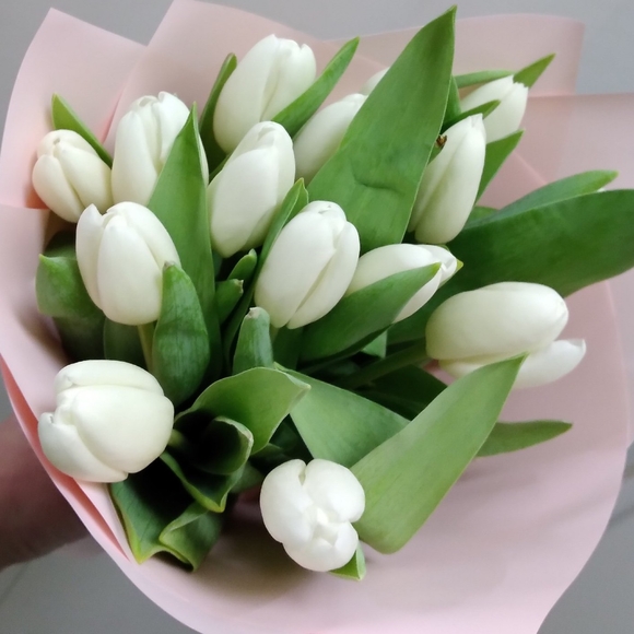 Букет из 15 белых тюльпанов
