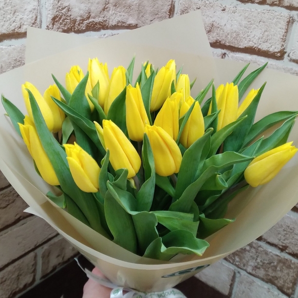 Букет из 15 желтых тюльпанов
