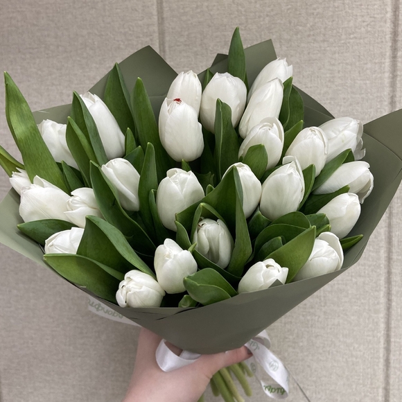 Букет из 25 белых тюльпанов