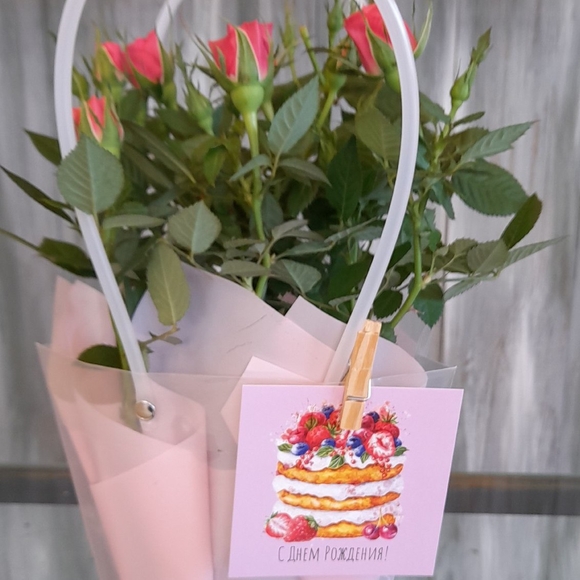 Роза Кордана в цветочной сумочке красная