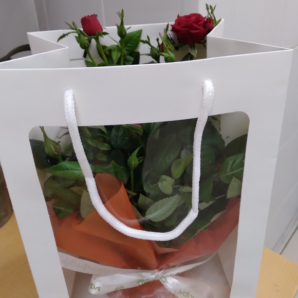 Роза Кордана в цветочной сумочке красная