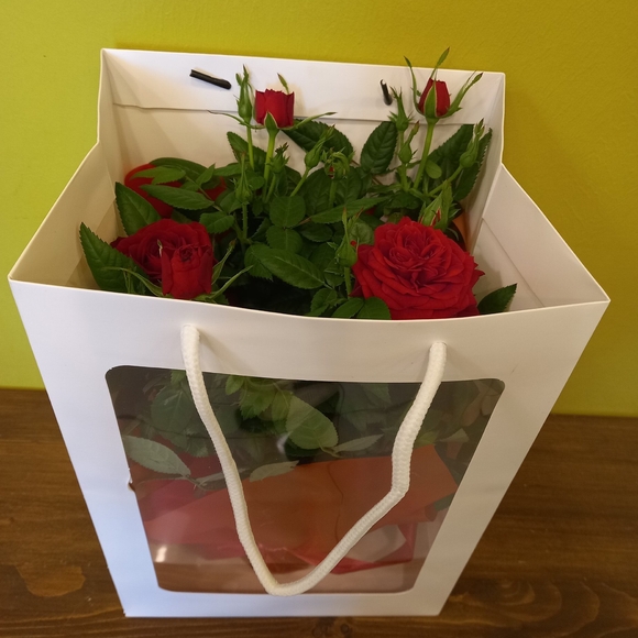 Роза Кордана в цветочной сумочке красная