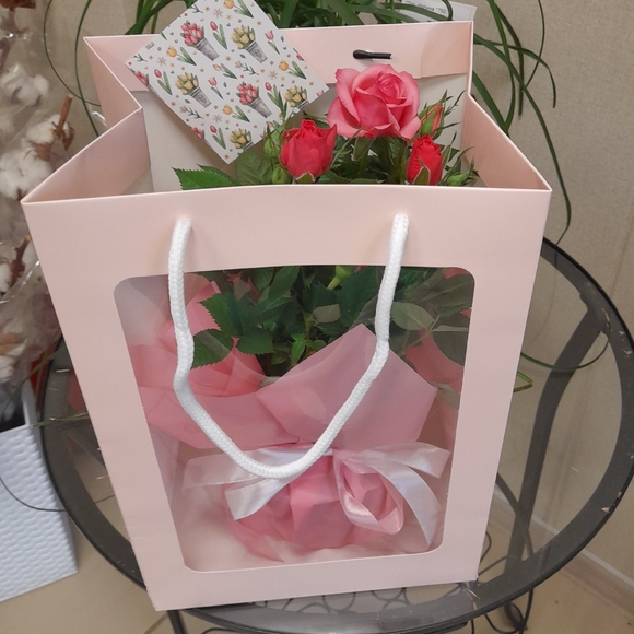 Роза Кордана в цветочной сумочке розовая