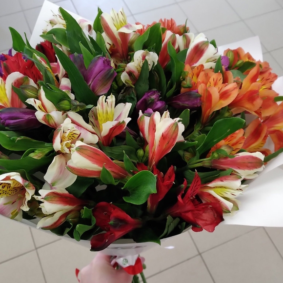 Букет из 15 Альстромерий микс