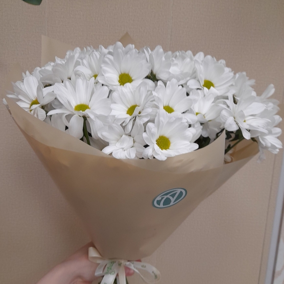 Букет из 9 белых кустовых хризантем