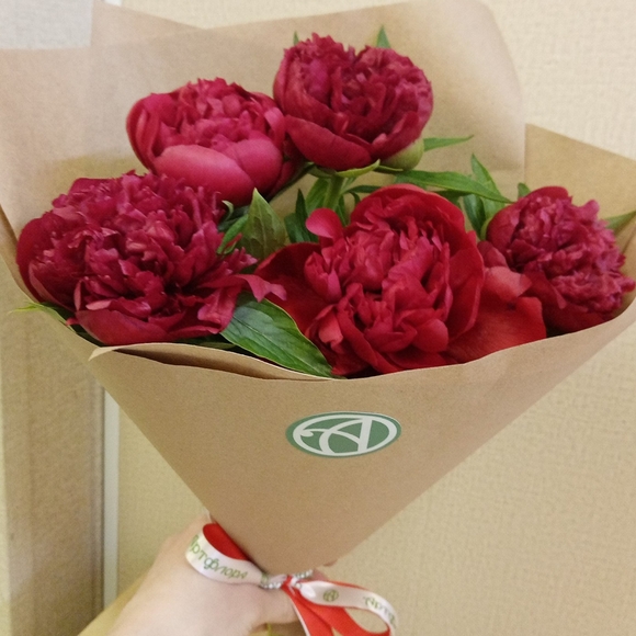 Букет из 5 бордовых пионов (Россия)
