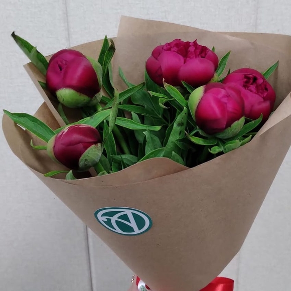 Букет из 5 бордовых пионов (Россия)