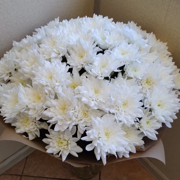 Букет из 9 белых кустовых хризантем