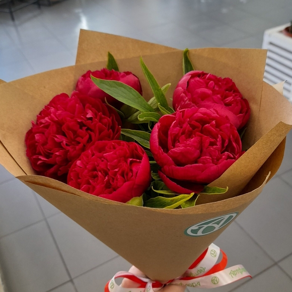 Букет из 5 бордовых пионов (Россия)