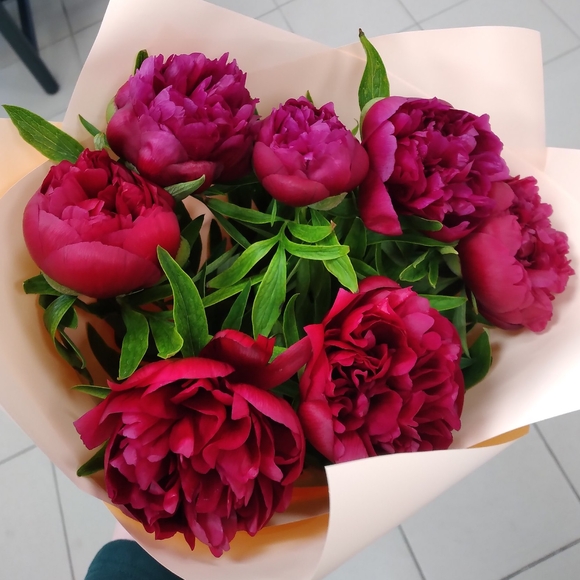 Букет из 7 бордовых пионов (Россия)